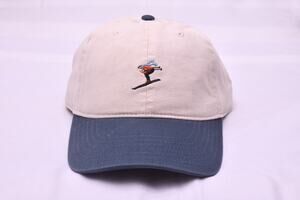 Mighty Fine Embroidered Ski Bird Dad Hat Strapback OSFM NWT